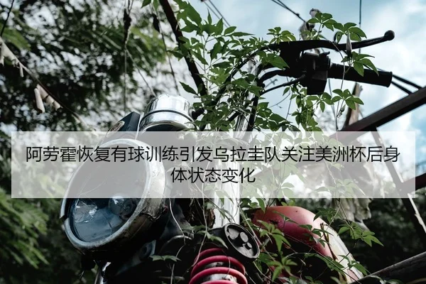 阿劳霍恢复有球训练引发乌拉圭队关注美洲杯后身体状态变化
